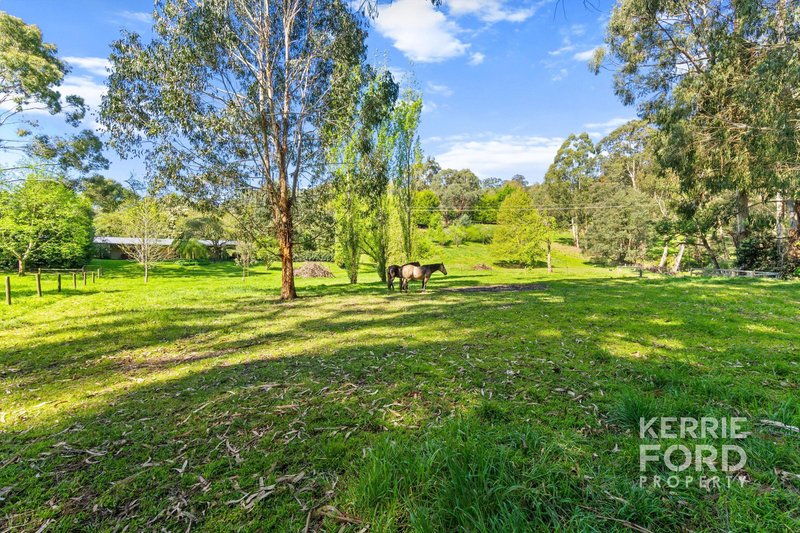 Photo - 145 Junction Road, Jeeralang Junction VIC 3840 - Image 24