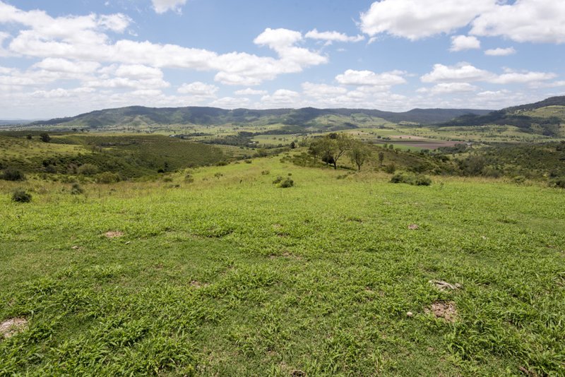 Photo - 145 Perretts Road, Mount Whitestone QLD 4347 - Image 20