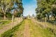 Photo - 145 School Road, Bayles VIC 3981 - Image 16