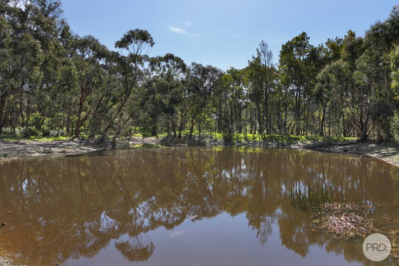 Photo - 145 Triggs Road, Yendon VIC 3352 - Image 20