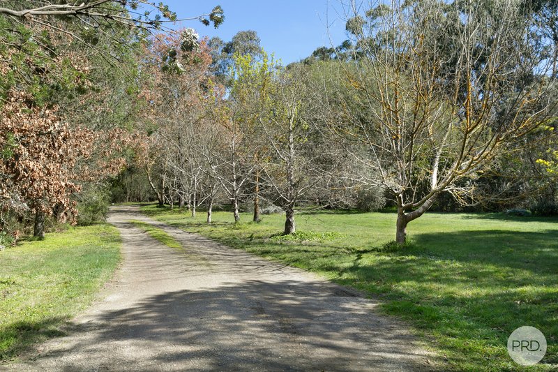 Photo - 145 Triggs Road, Yendon VIC 3352 - Image 21