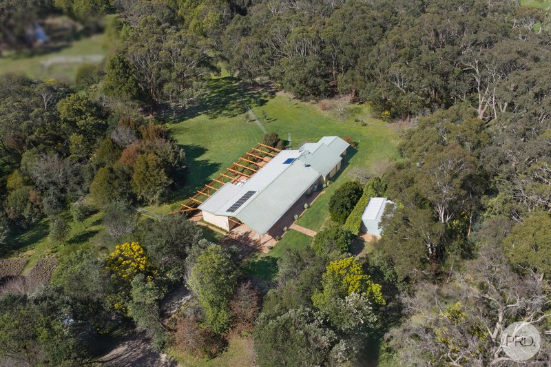 Photo - 145 Triggs Road, Yendon VIC 3352 - Image 24