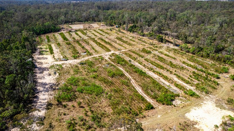 Photo - 145 Wants Lane, Glenugie NSW 2460 - Image 28