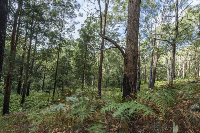 Photo - 1458 Sherwood Creek Road, , Upper Corindi NSW 2456 - Image 7