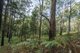 Photo - 1458 Sherwood Creek Road, , Upper Corindi NSW 2456 - Image 7