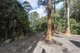 Photo - 1458 Sherwood Creek Road, , Upper Corindi NSW 2456 - Image 14