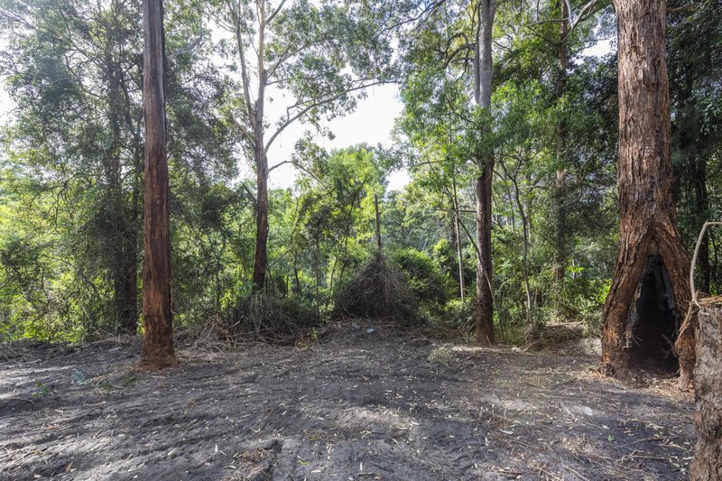 Photo - 1458 Sherwood Creek Road, , Upper Corindi NSW 2456 - Image 15