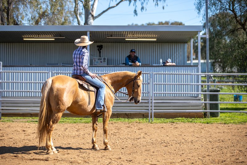 Photo - 14588 New England Highway, Tamworth NSW 2340 - Image 13