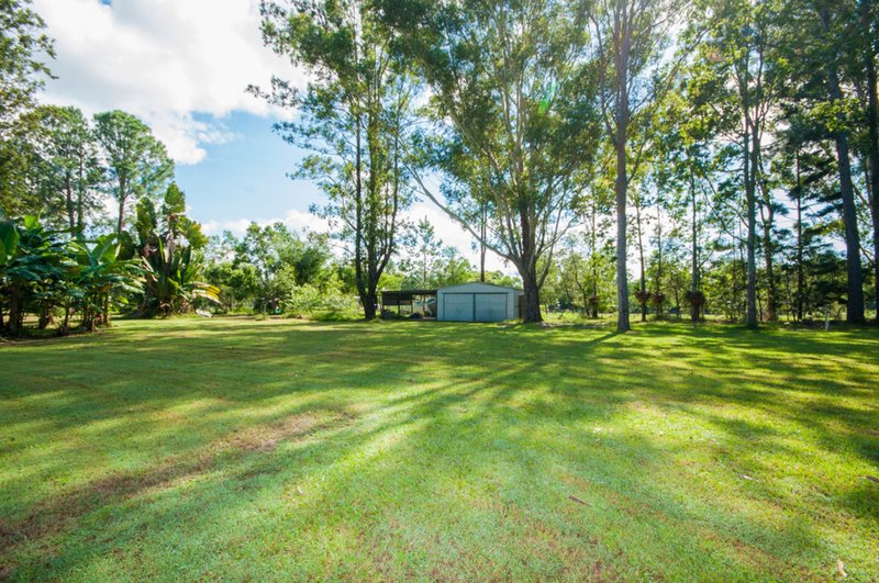 Photo - 1459 Louis Bazzo Drive, Cootharaba QLD 4565 - Image 13