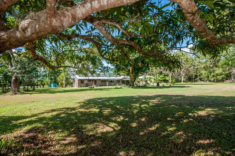 Photo - 1459 Louis Bazzo Drive, Cootharaba QLD 4565 - Image 15