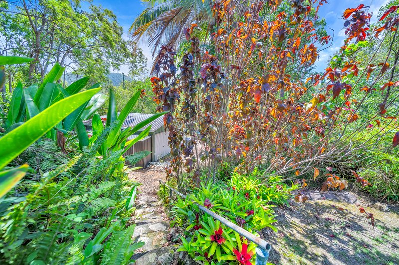 Photo - 146 Allan Road, Conway QLD 4800 - Image 25