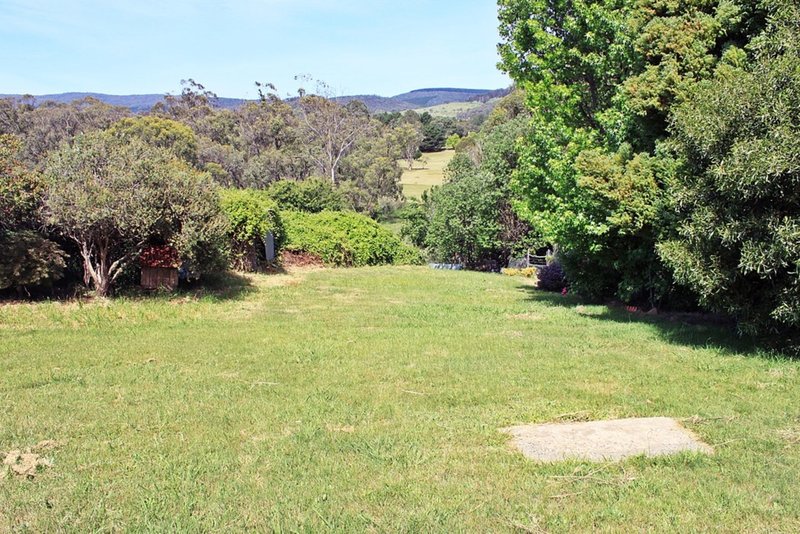 Photo - 146 Batlow Road, Tumbarumba NSW 2653 - Image 8