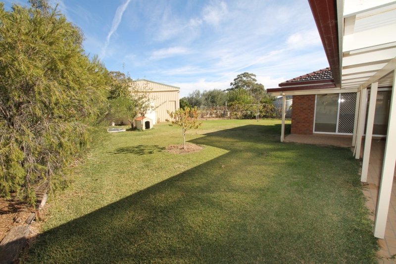 Photo - 146 Fitzroy Street, Quirindi NSW 2343 - Image 13