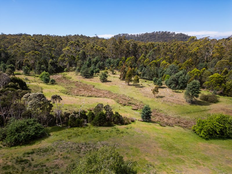 Photo - 146 Ginns Road, Birralee TAS 7303 - Image 28