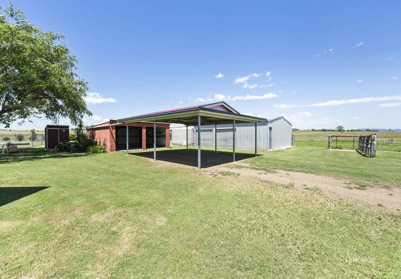 Photo - 146 Lower Cressbrook Road, Cressbrook QLD 4313 - Image 18