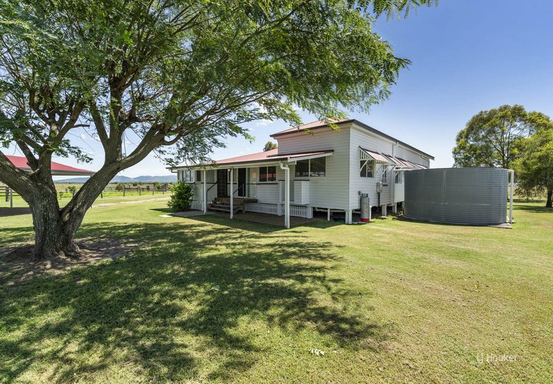 Photo - 146 Lower Cressbrook Road, Cressbrook QLD 4313 - Image 19