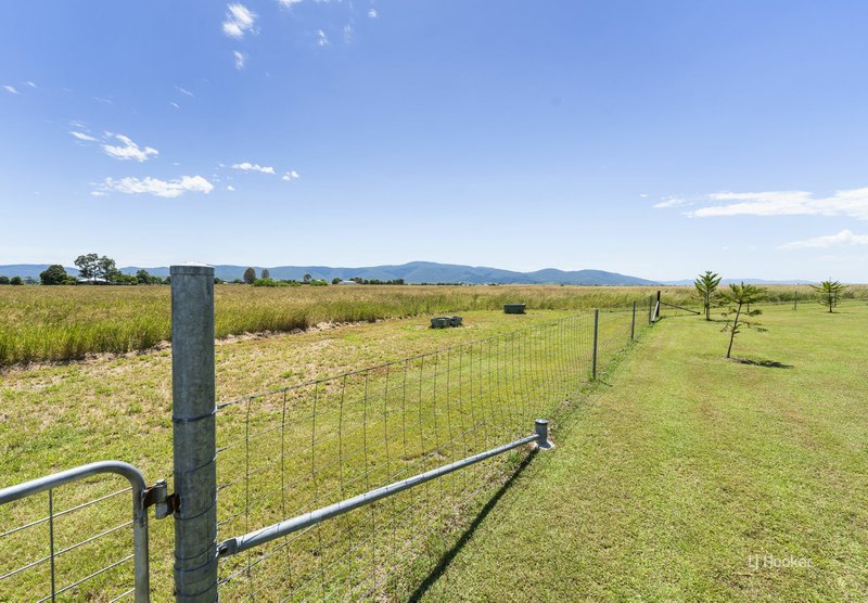 Photo - 146 Lower Cressbrook Road, Cressbrook QLD 4313 - Image 22