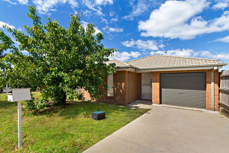 146 Macfarlane Burnet Avenue, Macgregor ACT 2615