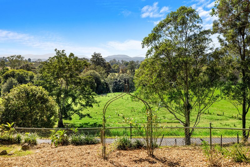 Photo - 146 Omagh Road, Kyogle NSW 2474 - Image 19