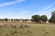 Photo - 146 Soldiers Road, Barwite VIC 3722 - Image 16