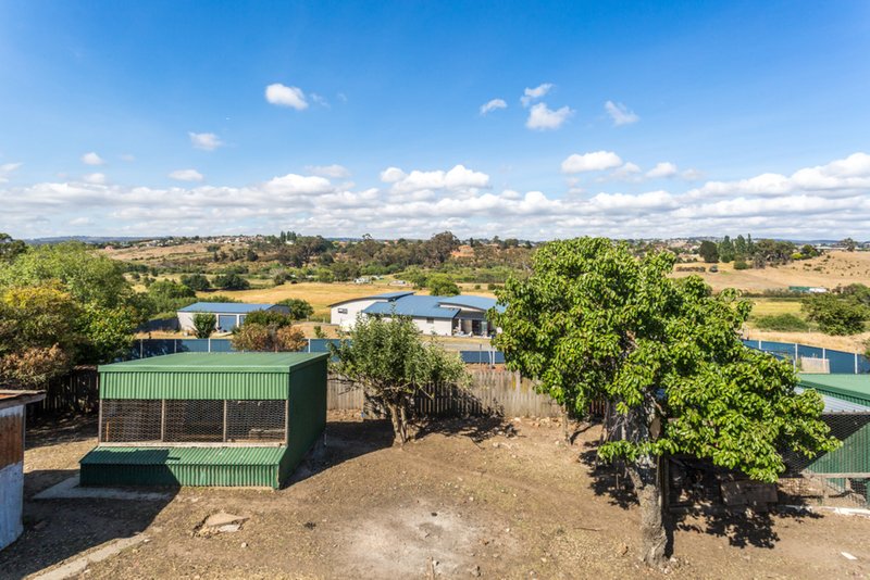 Photo - 146 St Leonards Road, St Leonards TAS 7250 - Image 3