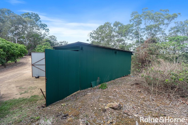 Photo - 146 Top Forestry Road, Ridgewood QLD 4563 - Image 17