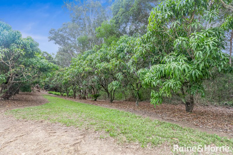 Photo - 146 Top Forestry Road, Ridgewood QLD 4563 - Image 19