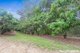 Photo - 146 Top Forestry Road, Ridgewood QLD 4563 - Image 19