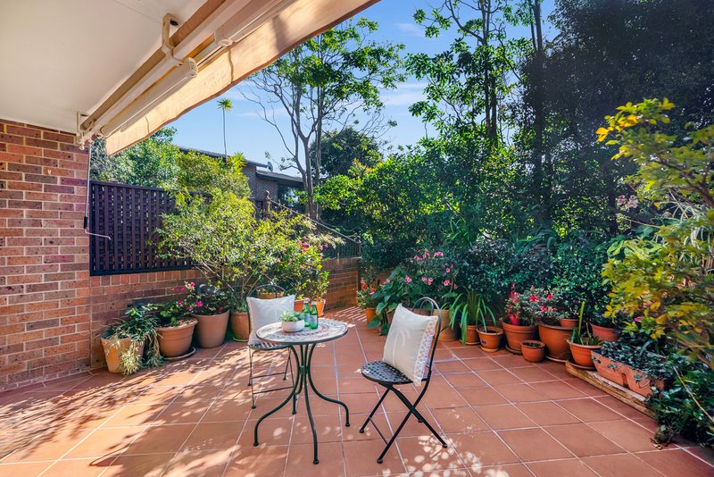 Photo - 14/61 Grasmere Road, Cremorne NSW 2090 - Image 3