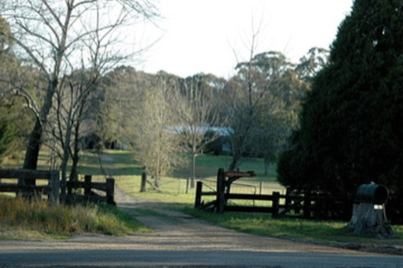 1461 Tyringham Road, Dorrigo NSW 2453