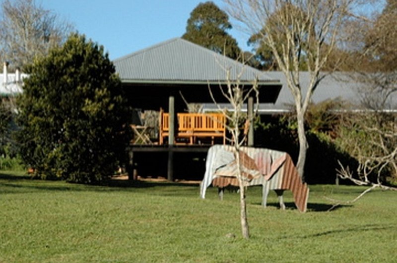 Photo - 1461 Tyringham Road, Dorrigo NSW 2453 - Image 4