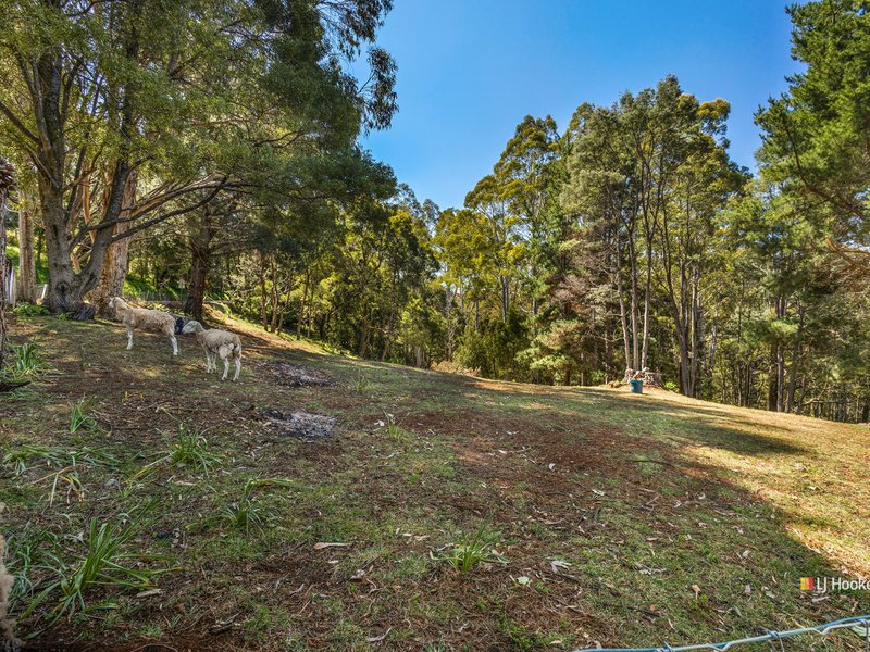 Photo - 147 Buxtons Road, Wilmot TAS 7310 - Image 17