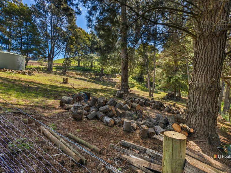 Photo - 147 Buxtons Road, Wilmot TAS 7310 - Image 18