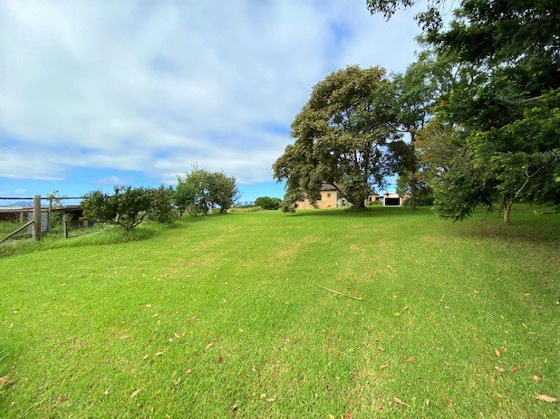 Photo - 147 Old Coast Road, Dorrigo NSW 2453 - Image 14