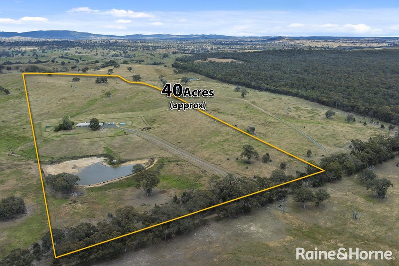 Photo - 147 Racecourse Road, Redesdale VIC 3444 - Image 4