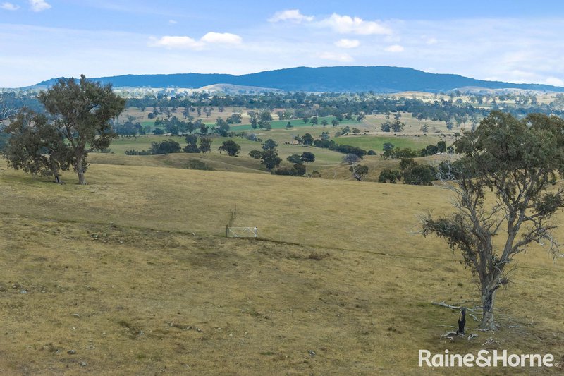 Photo - 147 Racecourse Road, Redesdale VIC 3444 - Image 19