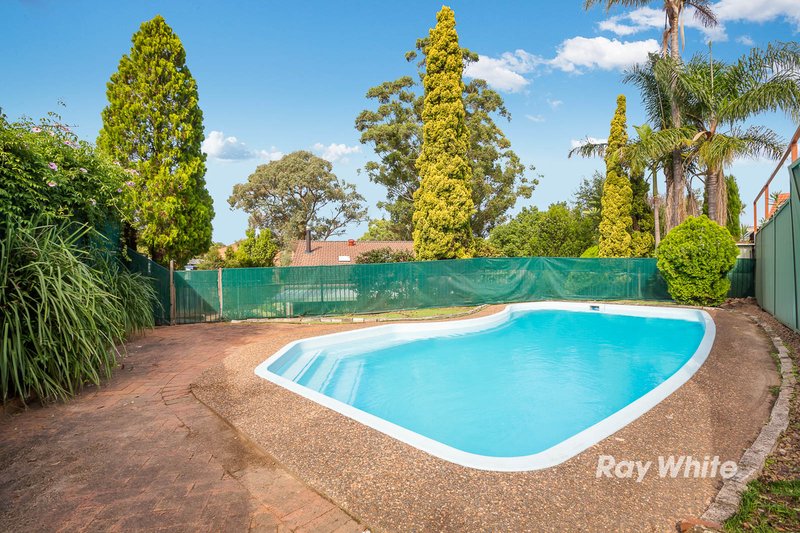 Photo - 147 Tuckwell Road, Castle Hill NSW 2154 - Image 5