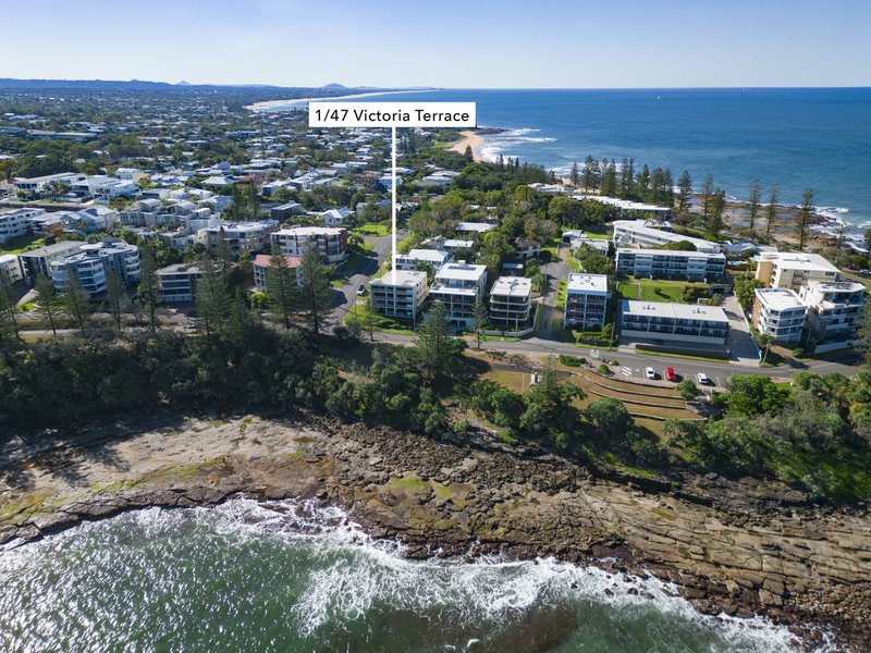 Photo - 1/47 Victoria Terrace, Kings Beach QLD 4551 - Image 7