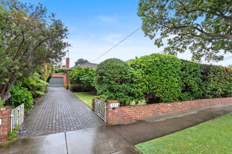 Photo - 147 Weatherall Road, Cheltenham VIC 3192 - Image 13