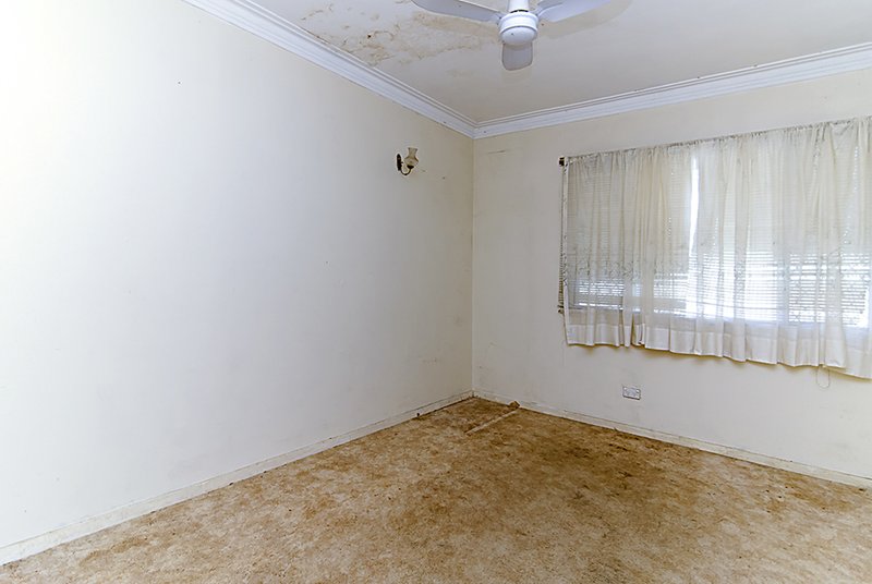 Photo - 147 Willard Street, Carina Heights QLD 4152 - Image 5