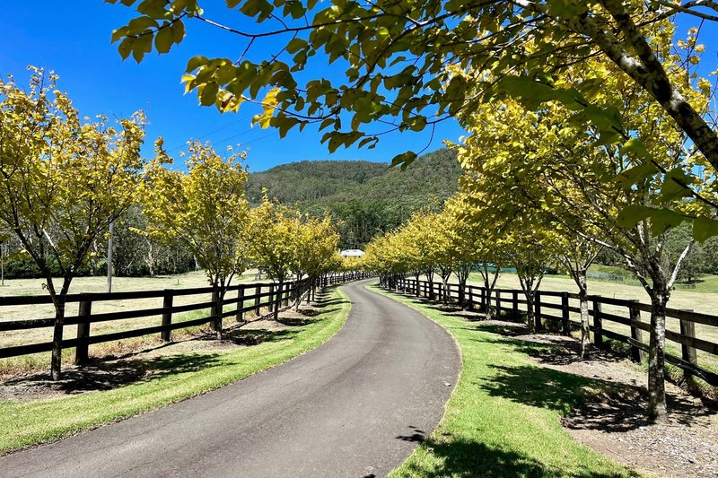 Photo - 1475 Kangaroo Valley Road, Kangaroo Valley NSW 2577 - Image 2