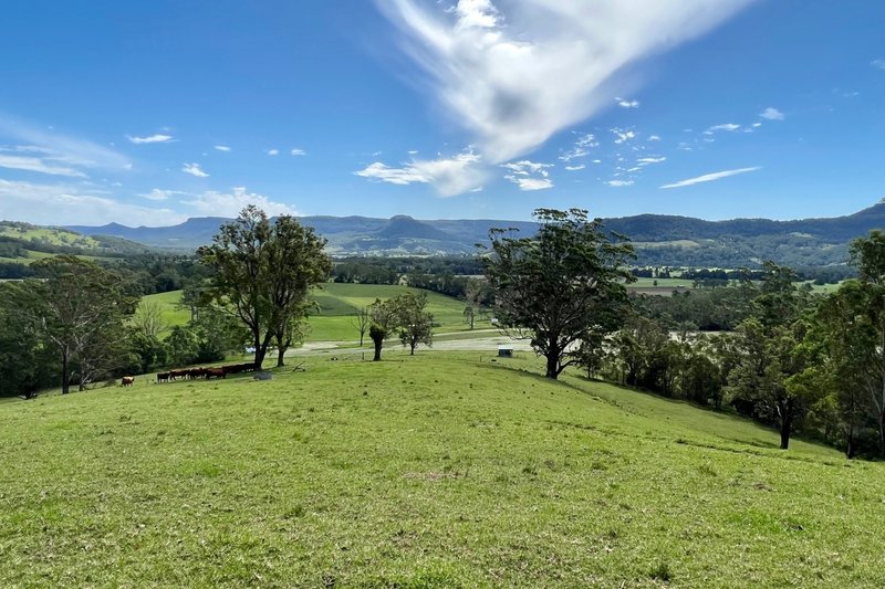 Photo - 1475 Kangaroo Valley Road, Kangaroo Valley NSW 2577 - Image 22