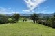 Photo - 1475 Kangaroo Valley Road, Kangaroo Valley NSW 2577 - Image 22