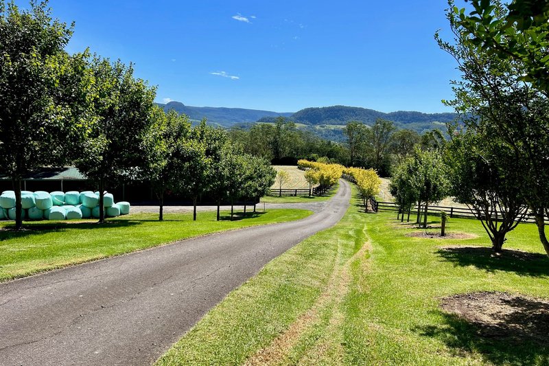 Photo - 1475 Kangaroo Valley Road, Kangaroo Valley NSW 2577 - Image 30