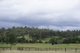 Photo - 1475 Mirannie Road, Singleton NSW 2330 - Image 3