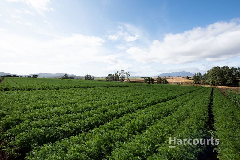 Photo - 1479 Sheffield Road, Barrington TAS 7306 - Image 6