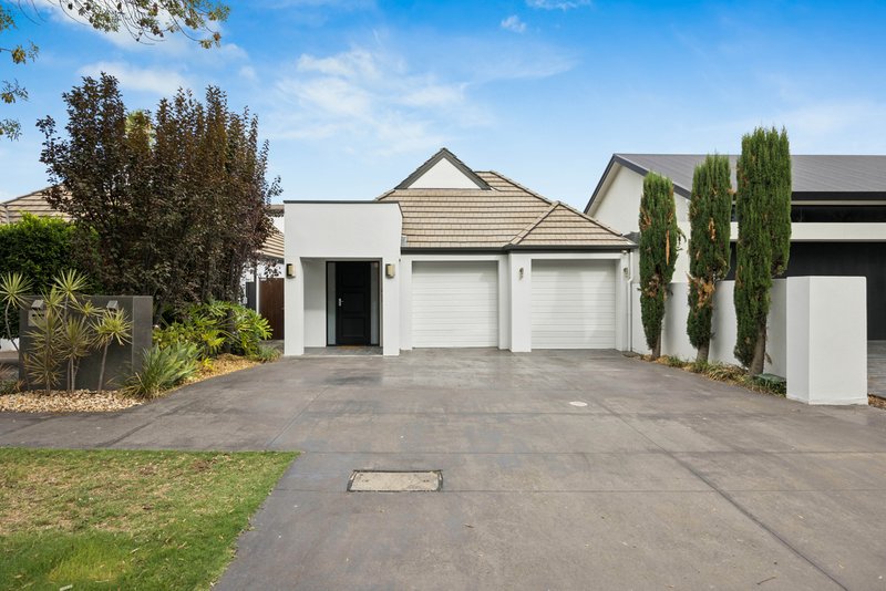 Photo - 147a Ashbrook Ave , Trinity Gardens SA 5068 - Image 1