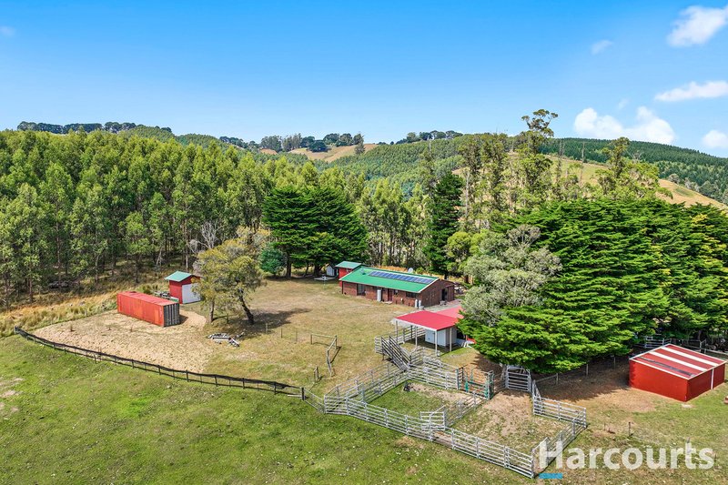 Photo - 148 Allmans Road, Trida VIC 3953 - Image 18