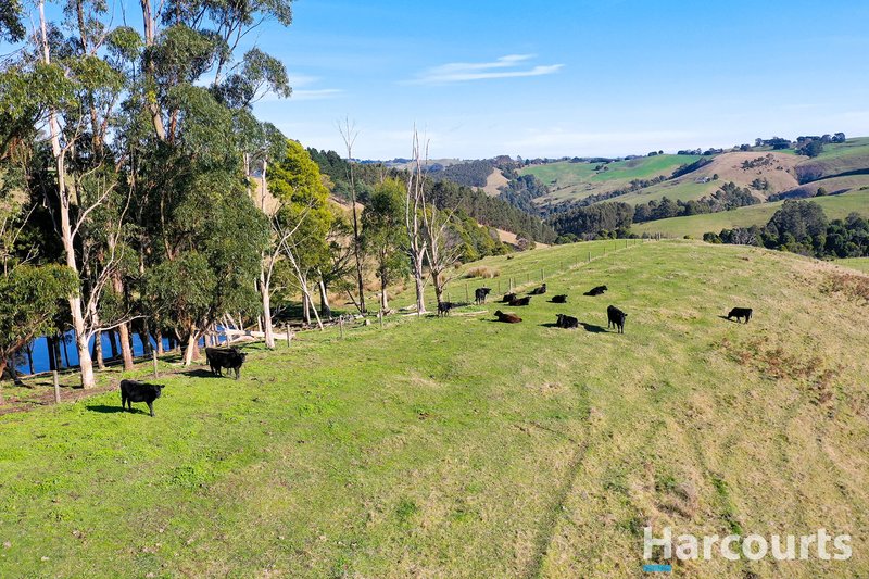 Photo - 148 Allmans Road, Trida VIC 3953 - Image 28