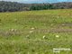 Photo - 148 Bigga Road Binda Via , Crookwell NSW 2583 - Image 24